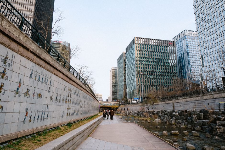 재외동포 국내 거주 신고 위반 처벌 규정 총정리